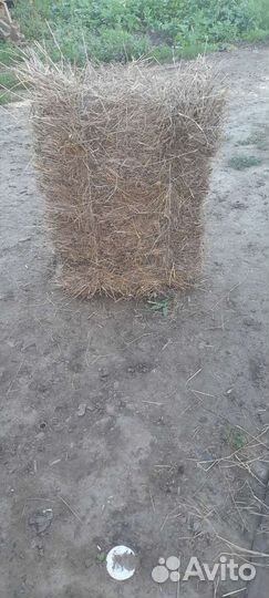Сено в тюках