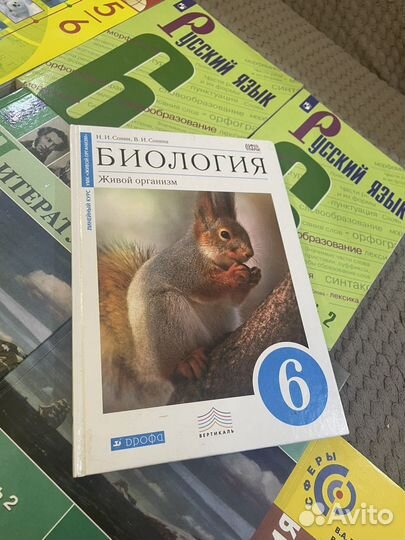 Комплект учебников за 6 класс