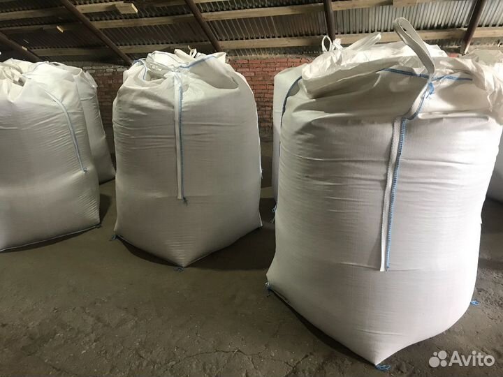 Семена ярового ячменя и пшеницы