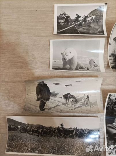 Фотографии дальнего севера