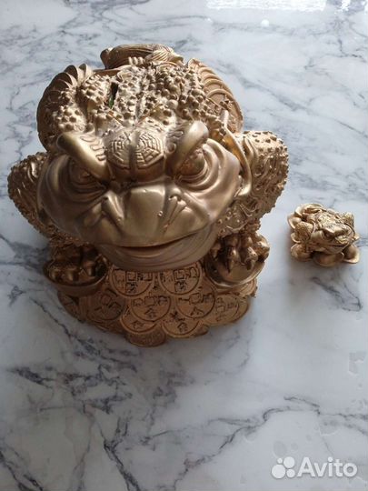 Лягушка денежная