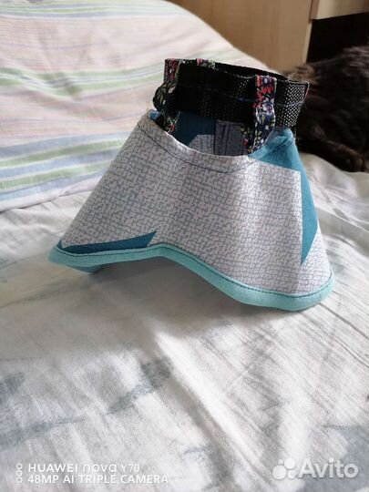 Ветеринарный воротник