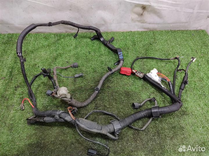Жгут проводки двигателя Mazda 6 (GG) 2007