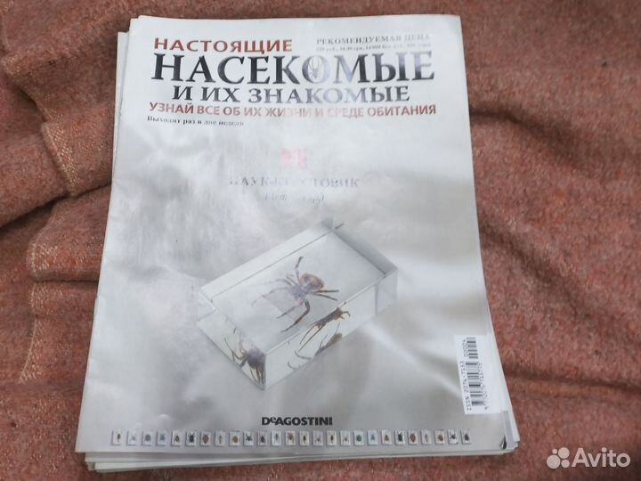 Колекция насекомых