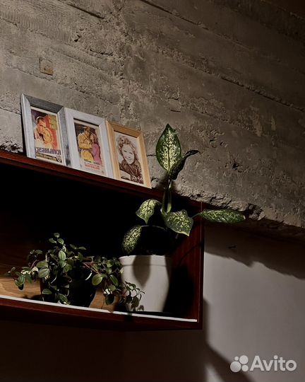 Аренда лофт кофейни с баром 2 этажа для праздника