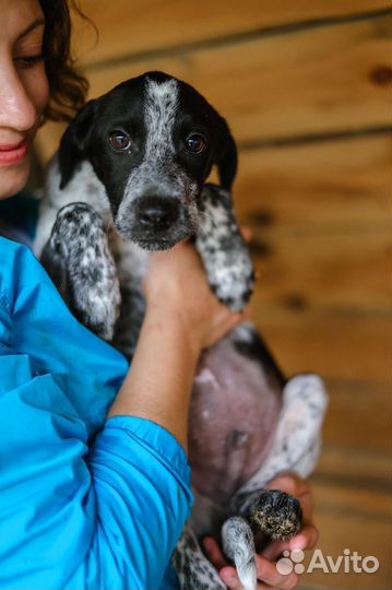 Помогите малышке