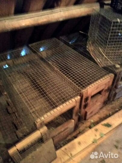 Клетки для кроликов бу