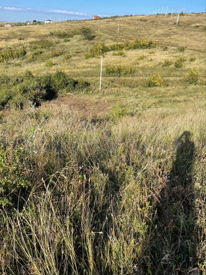 Участок 8 сот. (ИЖС)