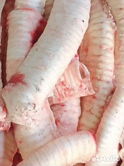 Мясо говядина для собак