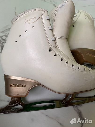 Фигурные Коньки edea chorus 230