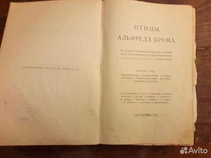 Брем А. Э. «Жизнь животных». Том 7, Птицы