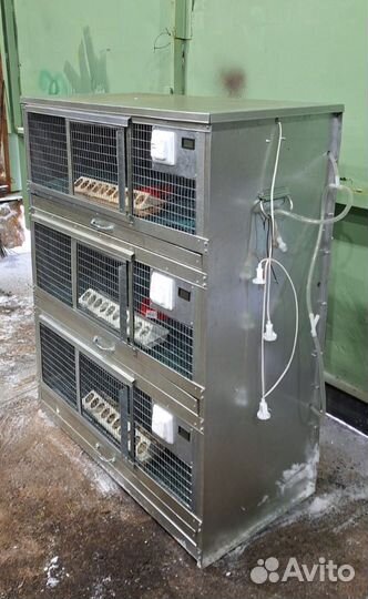 Брудер для цыплят 3-х ярусный на 150-210 суточных