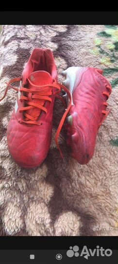 Бутсы adidas Copa 38,5