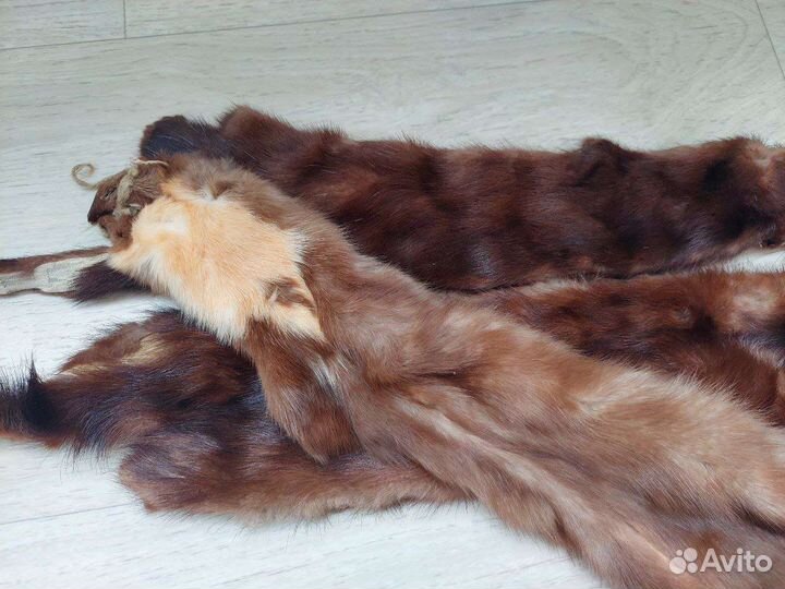 Шкурки норки