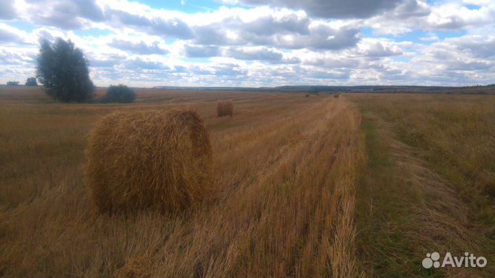 Солома ячменно-овсяная. Сергиевский р-он