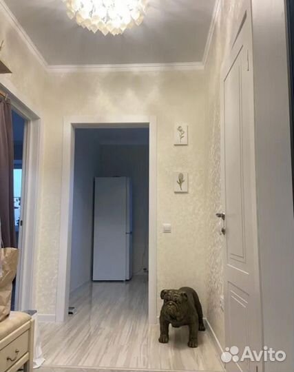 Английский бульдог