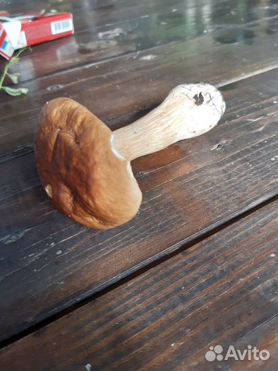 Козы Ламанча