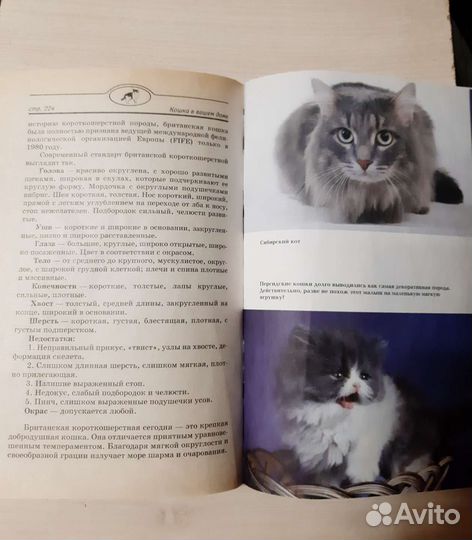 Книга 
