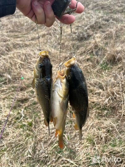 Русская баня на дровах на берегу озера