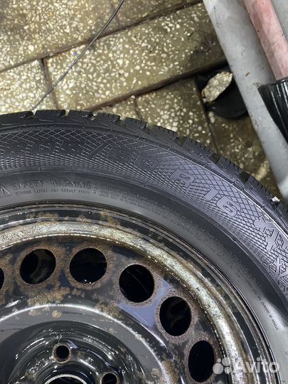 Gislaved Nord Frost 5 205/60 R16