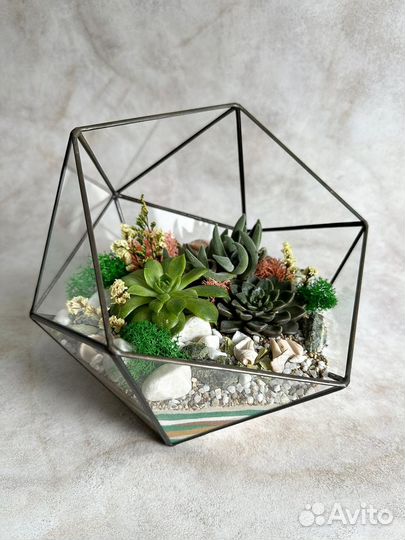 Флорариум. Подарок. Уникальный декор