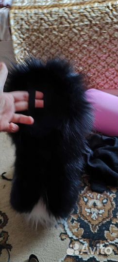 Фурсьют волка