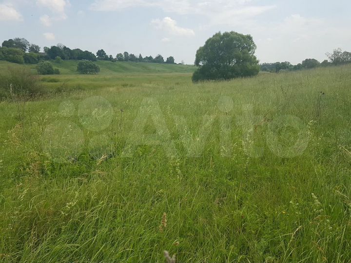 Участок 50 сот. (ИЖС)