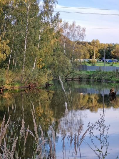 Дача 60 м² на участке 6 сот.