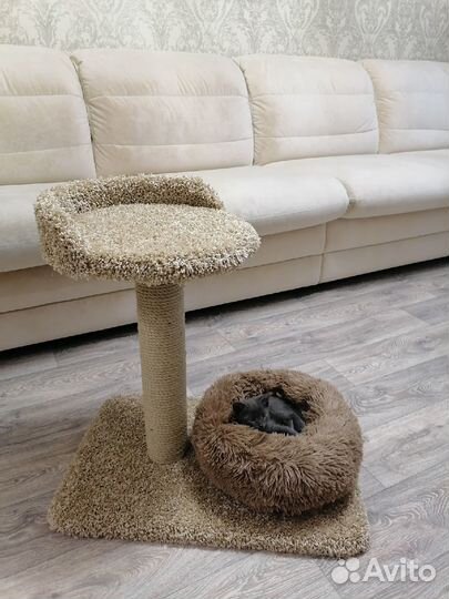 Когтеточки, комплексы и домики для кошек