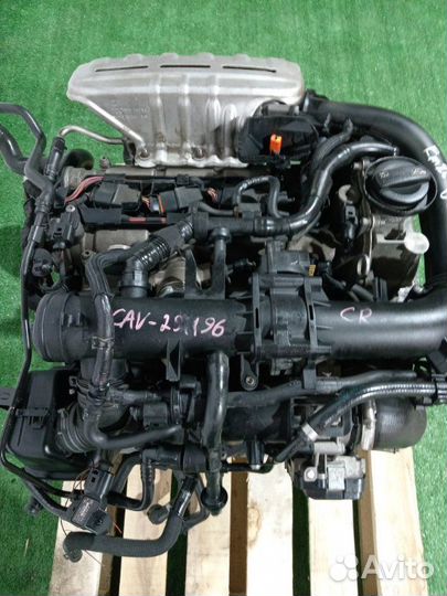 Двигатель Volkswagen Tiguan cava