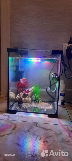 Продам аквариум с рыбками