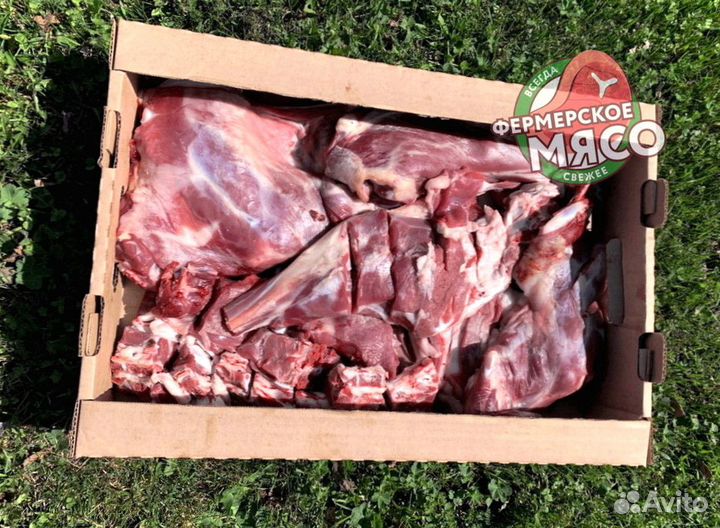 Мясо баранина