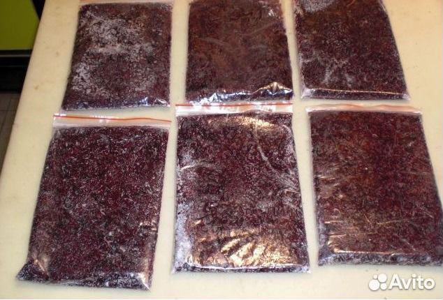 Замороженный корм для рыб Артемия и Мотыль