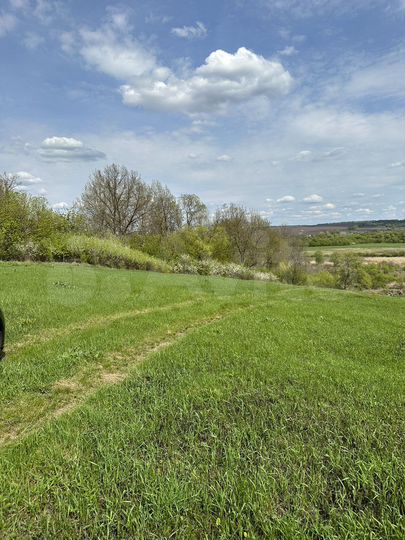 Участок 1,33 га (ИЖС)