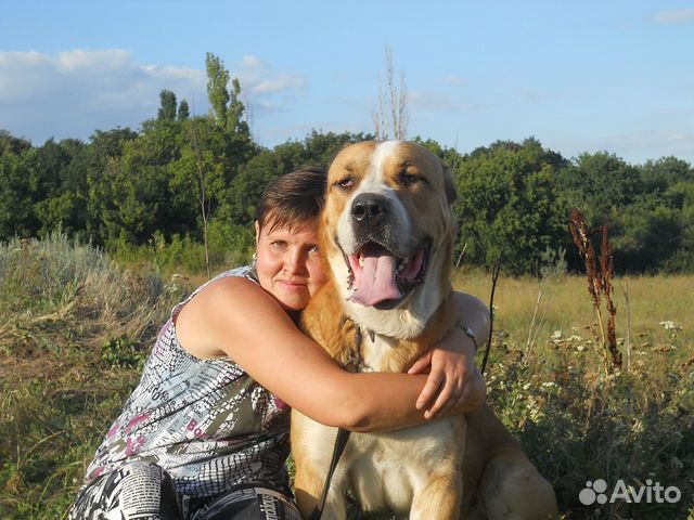 Передержка животных