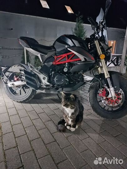 Мопед JT-50 (Andes U1)