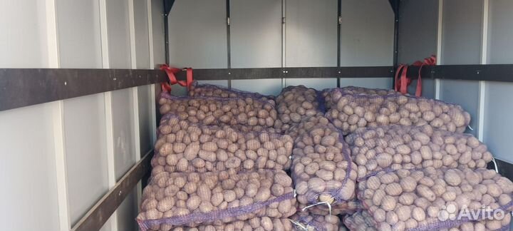Продам картофель