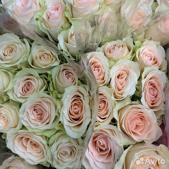 Букет из роз Jeanette Премиум 60 см