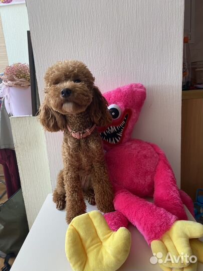 Игрушка хагги вагги и кисси мисси