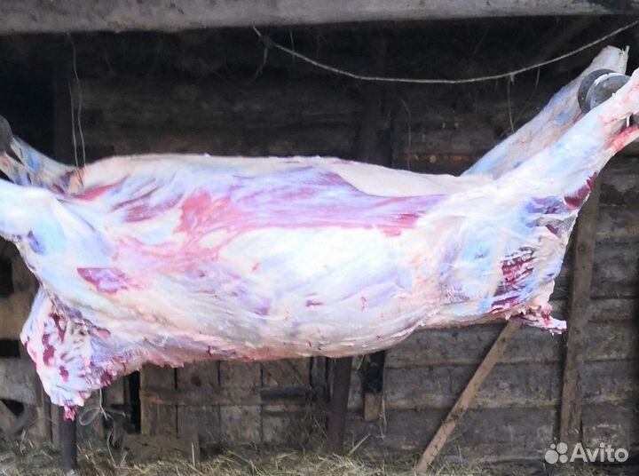 Мясо говядина