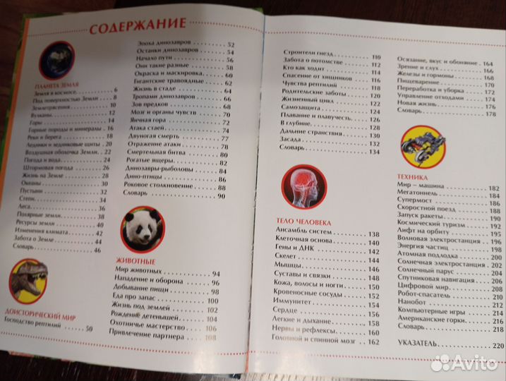 Детская энциклопедия