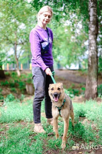 Выкинули как вещь