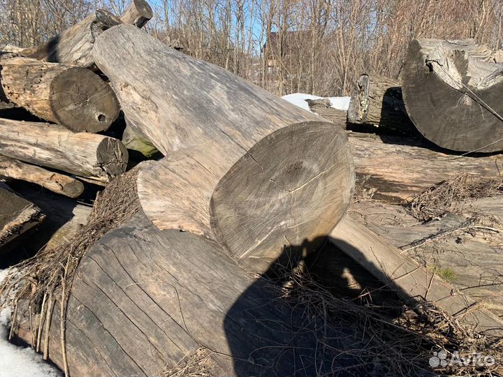 Брёвна дуба/большой диаметр/ кругляк