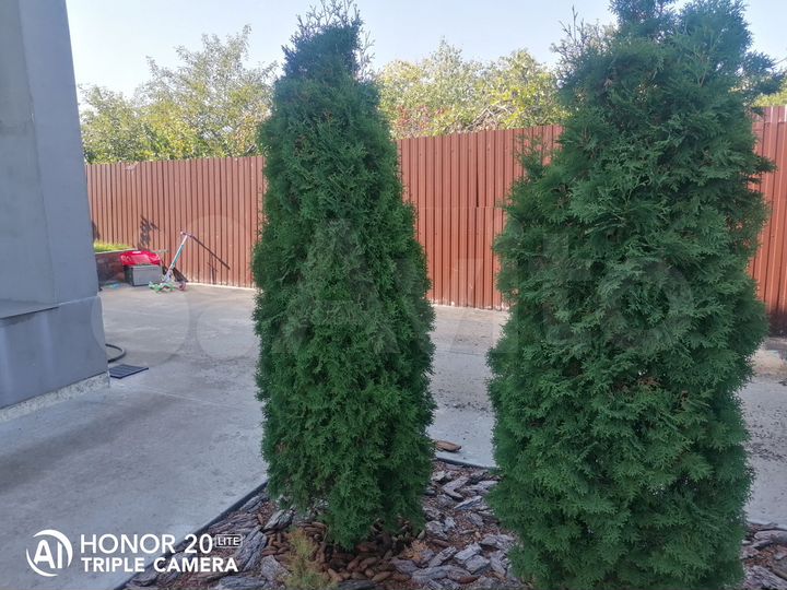 Дом 188,4 м² на участке 6 сот.