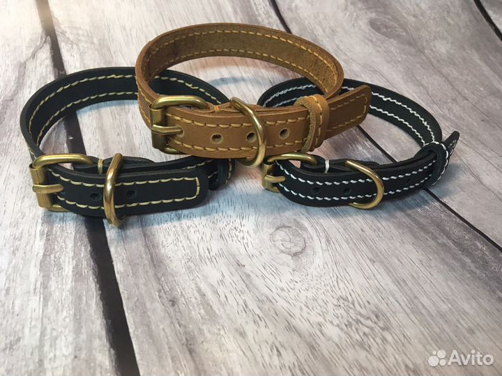 Ошейник для собак