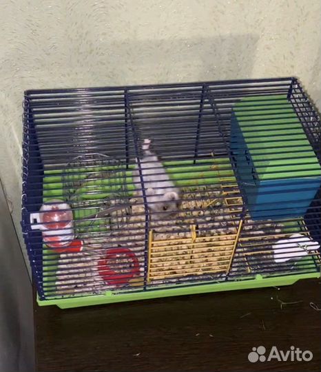 Клетка для грызунов