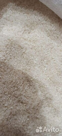 Гречка / рис