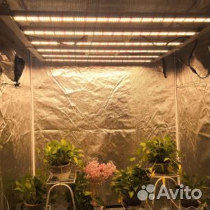 Фитолампа quantum board полный спектр 339 Вт