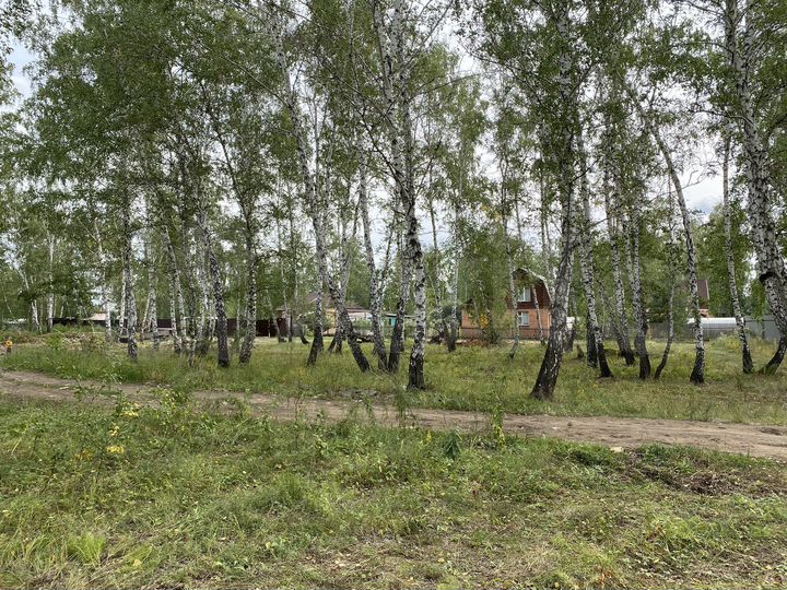 Участок 12,5 сот. (СНТ, ДНП)