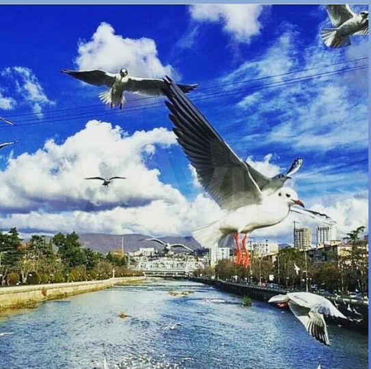 2-к. квартира, 50 м², 3/5 эт.